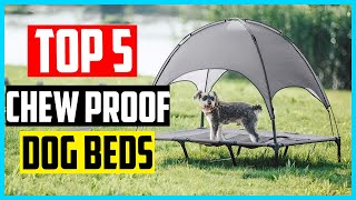 ✅ Top 5 Best Chew Proof Dog Beds Review 2024 [upl. by Sension]