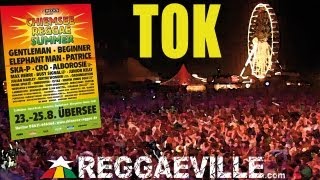 TOK  Gi Gi Winer  Chiemsee Reggae Summer 2013 August 23rd [upl. by Onidranreb]