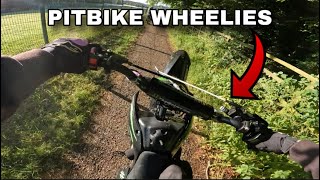 Practicing Wheelies On My Pitbike [upl. by Submuloc]