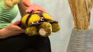 Playtastic LEDSchildkröte mit SternbildProjektion amp Farbwechsler [upl. by Neelasor]