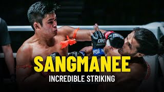 Sangmanee’s Incredible Striking  ONE Championship Highlights [upl. by Scherle50]