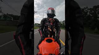 Georgia weather Thankfully we were 5 min from the house 😅 dog motorcycle doglover motovlog [upl. by Neall]