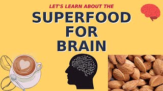 10 Super Foods For Brain Health  Improve Alertness Focus Concentration And Memory [upl. by Ttekcirc]