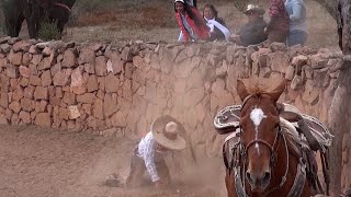 57  Lo Mejor de los Coleaderos  Jomulquillo Jerez Zacatecas [upl. by Nabru]