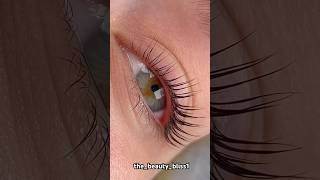 Eyelash extension and tinting✨ No need to apply mascara permanentmakeup eyelashlift eyelashes [upl. by Marie-Ann]