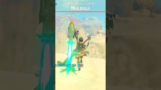 Easily Destroy a Molduga in Zelda Totk [upl. by Priest541]