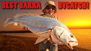 Unexpected Catch Mulloway Black Jewfish While Fishing for Barramundi [upl. by Wernsman]