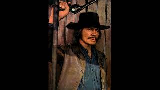 CHARLES BRONSON  MAGNIFICENT SEVEN THEME SONG amp PHOTO FANTASY [upl. by Attecnoc]