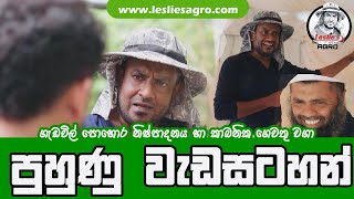 කාබනික ගෙවතු වගා සහ ගැඩවිල් පොහොර නිෂ්පාදන පුහුණු වැඩසටහන් Training programmes at Leslies Agro [upl. by Macrae]