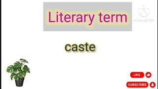 Caste Literary term educational pu studyकरो [upl. by Iramohs459]