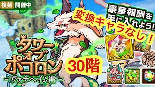 【ポコダン】ヴァナヘイム編30階変換キャラなし！ 【タワーオブポコロン】 [upl. by Nadiya102]