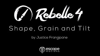 Rebelle 4 Brush Creator  Four Shapes and Grains Rotation Settings [upl. by Hannej]