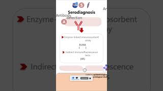 SerodiagnosisGiardia lamblia parasitology microbiology pathology diagnosis neetpg neet [upl. by Nawram]