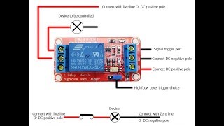 5V 1 Channel Level Trigger Optocoupler Relay Module For Arduino [upl. by Rebmac123]