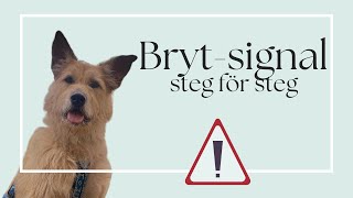 Brytsignal  steg för steg [upl. by Nelan]