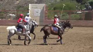 FUN POLO CLUB CHUKKERS  Chukker 3 [upl. by Margetts]