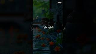 Shyam Singha Roy Movie Sirivennela Song WhatsApp Status Lyrics nani saipallavi [upl. by Lubeck]