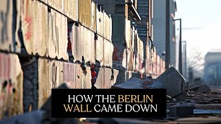 The Fall of the Berlin Wall The End of the Cold War  Battles amp WARS  The Daily Story [upl. by Boote]