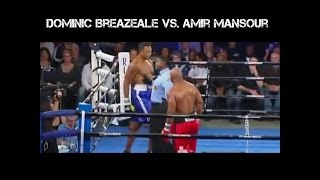 Dominic Breazeale vs Amir Mansour Highlights 2016 [upl. by Herrmann]