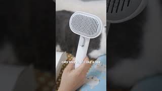 The Simplest Guide to Grooming LongHaired Cats aumuca cats catbrush longhair petcare pets [upl. by Clapp]