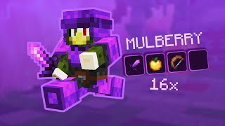 Mulberry 16x PvP OFFICIAL Release [upl. by Neuberger]