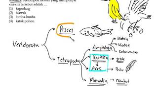 Klasifikasi Vertebrata [upl. by Ahsekyw]