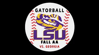 GATORBALL 2024 FALL AA LSU VS GA [upl. by Irt723]