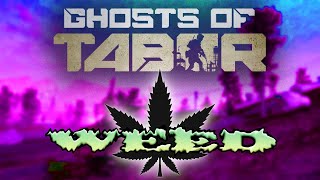 FAST and THOROUGH GUIDE to WEED FARMING in GHOSTS OF TABOR [upl. by Stenger]