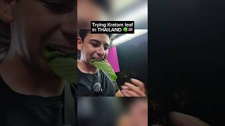 I Tried KRATOM Leaf in Thailand 🍃🇹🇭 [upl. by Belier86]