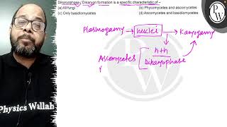 Dikaryophase  Dikaryon formation is a specific characteristic of  a All fungi b Phycomycet [upl. by Rawdon428]