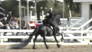 Wodan  Grand Champion Friesian Saddle Seat Country Pleasure Jingle Bell Horse Show 2011 [upl. by Adriano]