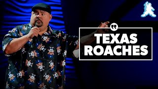 Texas Roaches  Gabriel Iglesias [upl. by Ecire]