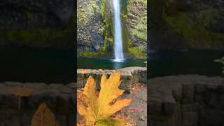 Fall Colors  Horsetail FallsColumbia River GorgeOregon shorts [upl. by Ervin]