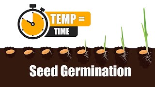 Seed Germination How Long it takes for seeds to GERMINATE [upl. by Ric]