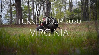 VIRGINIA Opening Weekend  Turkey Tour 2020 [upl. by Ylremik]