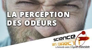 Comment notre nez perçoitil les odeurs   Science En Direct [upl. by Schoening474]