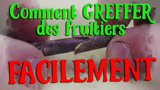 Le greffage de Fruitiers le plus simple du monde et en 5 minutes [upl. by Yremrej]