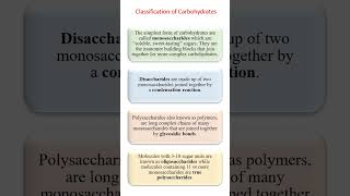 Classification of Carbohydrates  shorts [upl. by Moncear]