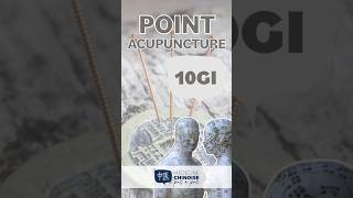 POINT D’ACUPUNCTURE  10GI  Shou San Li acupuncture acupuncturepoints medecinechinoise [upl. by Nyleahs92]