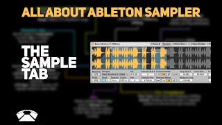 All About Ableton Sampler  The Sample Tab Part 1  Beat Lab [upl. by Oralia]