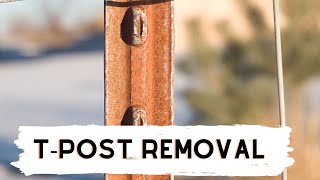 TPost Removal with a Hilift Jack [upl. by Beret]