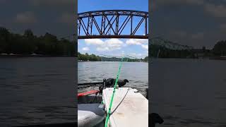 KANAWHA RIVER to the OHIO RIVER catfishingtips riverfishing catfishing [upl. by Cadmar689]