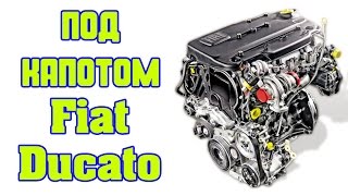 Fiat Ducato под капотом [upl. by Larianna297]