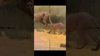 Catpurrnicus caracal  hunting game  Namibia  hunting clash  shorts [upl. by Mackler299]