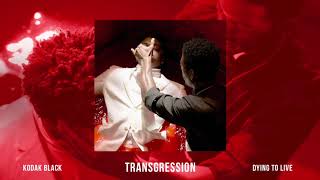 Kodak Black  Transgression Official Audio [upl. by Warp535]