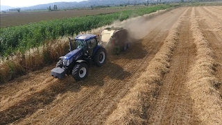 New Holland T7070 [upl. by Pascasia324]