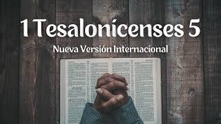 1 Tesalonicenses 5  Nueva Versión Internacional  Biblia en audio [upl. by Artnoed625]