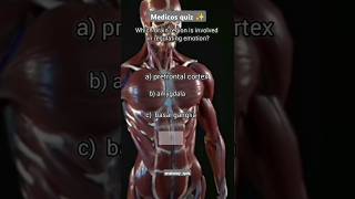 Anatomy important quiz 😊shortsviralvideos [upl. by Odessa]