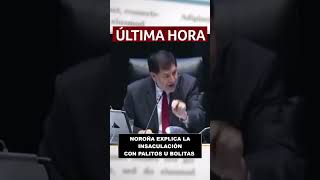 Noroña explica insaculación de la elección del Poder Judicial [upl. by Bodrogi]