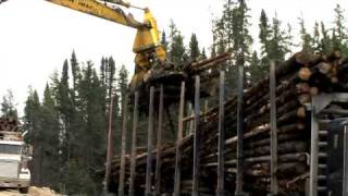 Greenpeace And The Cree Unite To Protect The Boreal Forest  Part 2 [upl. by Swaine]